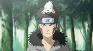 Learn about Kiba in Naruto.